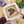 Load image into Gallery viewer, Grapes - PDF Pattern